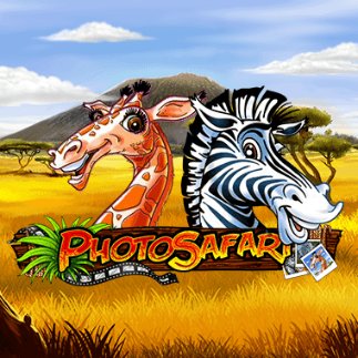 Photo Safari
